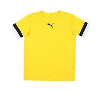 PUMA Teamrise Jersey Jr Tricot Mixte bébé, multicolore, 128