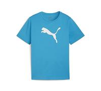 PUMA Teamrise Logo Jersey Cotton Jr T-Shirts Garçon
