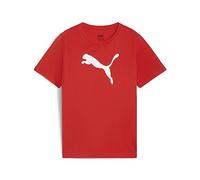 PUMA Teamrise Logo Jersey Cotton Jr T-Shirts Garçon