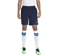 Puma Teamrise Training Shorts Bleu XL Homme