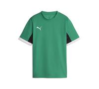 Puma teamRISE27 Matchday Pull Jr Vert