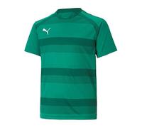 Maillot de football PUMA teamVISION enfants vert F05 176