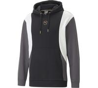 Sweat à capuche PUMA KING Top noir, gris et blanc F04 S
