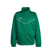 Puma Teamrise Training Jacket Vert 11-12 Years Garçon