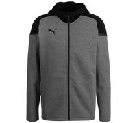 Puma Veste à capuche TeamCUP Casuals
