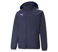 PUMA Veste Team Liga All Weather