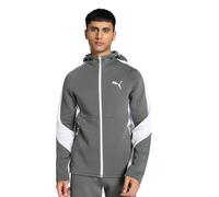 PUMA Veste zippée à Capuche EVOSTRIPE M Mineral Gray
