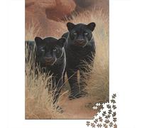 Pumas Noirs |Une Oasis dans Le désert du Sahara| Puzzles Amusants en Famille 38x26cm/1000pcs Adultes