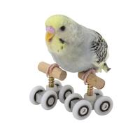 PUMEXFE Jouets pour oiseaux - Patins à roulettes - Entraînement de l'intelligence - Accessoire de table éducatif - Accessoire de tour de table - Loisirs créatifs - Apprentissage de la mastication