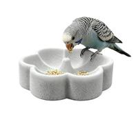 Pumice Stone Bird Feeder Bowl |Flower Shape Pumice Feeding Watering Station
