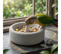 Pumice Stone Bird Feeder,Natural Pumice Bird Food Bowl with BeakGrinding，a1 | Splash Proof Parrot Feeding Dish,Lightweight Pumice Birds Feeder,Birds Watching for Finch Parrots Paitos Lawn