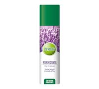 Pumilio Spray purifiant 200 ml, désodorisant d'ambiance avec huiles essentielles, parfum d'ambiance avec lavande et thym, parfum purifiant ue relaxant