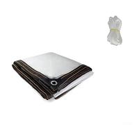 Pumixiy Film isolant coupe-vent pour la maison et le jardin - Feuille de plastique imperméable avec corde incluse - Bâche transparente robuste pour une utilisation en extérieur (1,5 x 3 m)