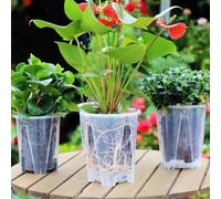 Pumixiy Lot de 5 pots à orchidée en plastique transparent avec trous de drainage et soucoupes pour contrôle des racines - Réutilisables pour la maison, le jardin et l'intérieur - 14 x 16 cm et 16 x 18