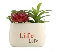 Pumixiy Plantes succulentes artificielles dans des pots en argile de ciment pour décoration de maison, bureau, plantes artificielles nécessitant peu d'entretien pour étagères, bureaux et centres de