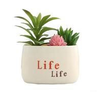 Pumixiy Plantes succulentes artificielles dans des pots en argile de ciment pour décoration de maison, bureau, plantes artificielles nécessitant peu d'entretien pour étagères, bureaux et centres de