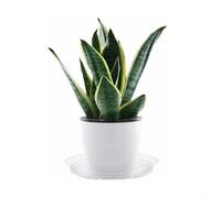 Pumixiy Plateau d'égouttement transparent en PET pour pots de fleurs, soucoupe ronde pour plantes d'intérieur, soucoupe en plastique réutilisable, plateau de drainage transparent pour plantes, jardin