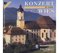 Pummer - Konzert in der Wies