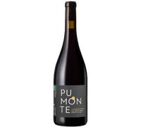 Pumonte Rouge 2022 - Domaine Alzipratu