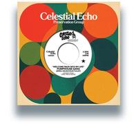 Pumphouse Gang - Welcome Back Into My Life (W/ Medlar Edit) [7-Inch Single]