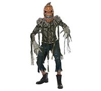 Pumpkin Head Mens Fancy dress costume Large