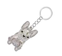 pumpumlia Boîte commémorative miniature pour poils d'animaux de compagnie - Porte-clés de voyage transparent - Boîte de collection de fourrures pour chien - Fermeture sécurisée - Cadeau sentimental