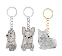 pumpumlia Boîte commémorative miniature pour poils d'animaux de compagnie - Porte-clés de voyage transparent - Boîte de collection de fourrures pour chien - Fermeture sécurisée - Cadeau sentimental