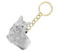pumpumlia Boîte commémorative miniature pour poils d'animaux de compagnie - Porte-clés de voyage transparent - Boîte de collection de fourrures pour chien - Fermeture sécurisée - Cadeau sentimental