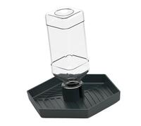 pumpumlia Bol d'alimentation amovible pour nourriture et eau pour dragons barbus Reptiles Distributeur d'eau automatique pour reptiles Amphibiens Bol d'eau