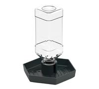 pumpumlia Bol d'alimentation amovible pour nourriture et eau pour dragons barbus Reptiles Distributeur d'eau automatique pour reptiles Amphibiens Bol d'eau