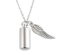 pumpumlia Collier urne en acier inoxydable pour chiens et chats - Collier commémoratif pour animal de compagnie - Bijoux commémoratifs pour perte d'animaux de compagnie - Bijoux de souvenir en acier