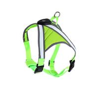 pumpumlia Harnais anti-échappement robuste pour chien avec lumière LED pour dressage de chiens de grande taille