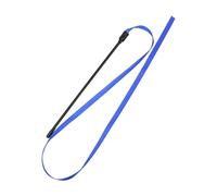 pumpumlia Lot de 10 baguettes pour chats - Couleur arc-en-ciel - Double face - Bâton interactif - Chasse - Long coloré