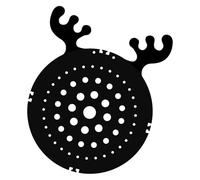 pumpumlia Staghorns Planche de plantation de fougère en acrylique noir - Support mural pour plantes d'intérieur - Pour orchidées et plantes grasses