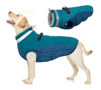 PUMYPOREITY Manteau d'hiver Imperméable pour Chien, Veste Réglable Vêtements Chaud Chiot Gilet Réfléchissant Combinaison de Ski avec Doublure en Polaire pour Petit Moyen Grand Chien(Vert Foncé, M)