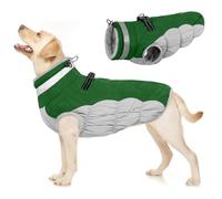 PUMYPOREITY Manteau d'hiver pour Chien, Veste Coupe-Vent Coton Chien Imperméable Vêtements Polaire Chiot Gilet Réfléchissante Coat Veste d'habillement Chien Chaud avec Col en Fourrure(Vert, L)