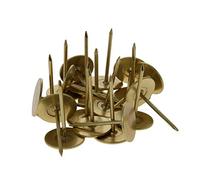 Punaises pour tapis, Clous de meubles à tête plate 19mm x 30mm, ton or for, têtes lit canapé, 100 pièces(Gold Tone)