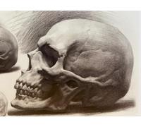 Punch Needle Kit Adulte Crâne Noir Et Blanctapis À Loquet Pour Bricolage Avec Ensembles D'Outils De Coussin De Point De Croix Pour Débutants Et Adultes Kit De Tapisserie À Broder Grand 23x35in