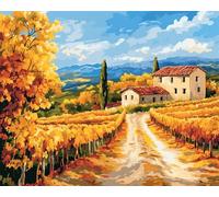 Punch Needle Kit Adulte Paysages Agricoles Rurauxtapis À Loquet Pour Bricolage Avec Ensembles D'Outils De Coussin De Point De Croix Pour Débutants Et Adultes Kit De Tapisserie À Broder 31x63in