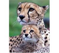 Punch Needle Kit Adulte Portrait Animalier Du Léopard Kit De Tapisserie À Crochet De Loquet Diy Pour Tapis Rectangulaire De Chambre À Coucher Pour Adultes,Ensemble De Broderie Artisanale 35x46in