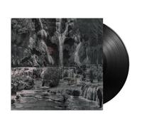 Punching The Clown Vinyle