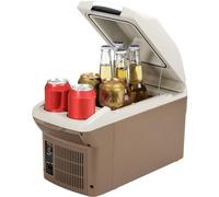 PUNEDA Réfrigérateur de voiture 12 V - 9 l - Refroidisseur portable de voiture - 12 V 110 V-220 V - 12 V - 220 V - Petit réfrigérateur thermoélectrique compact pour voiture, camping-car, camping