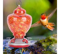 PUNELE Efficheur d'eau en Verre, Mangeoire coloré, Décor de Jardin Attrayant avec Crochet Suspendu, Perchoir au Repos et Base à L'épreuve, Facile à Assembler, Remplir et (A)