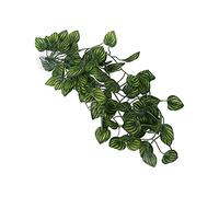PUNELE Vignes Artificielles pour Terrarium de Reptiles, 2 M Suspendus | Feuillage Grimpant en Plastique pour Décor D'aquarium, de Forêt Tropicale, Aménagement Paysager de Réservoir D'amphibiens