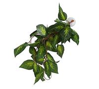 PUNELE Vignes Artificielles pour Terrarium de Reptiles, 2 M Suspendus | Feuillage Grimpant en Plastique pour Décor D'aquarium, de Forêt Tropicale, Aménagement Paysager de Réservoir D'amphibiens