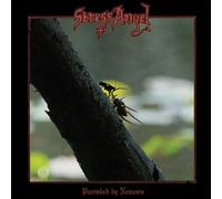 Stress Angel – Punished by Nemesis – Import (The Orchard)