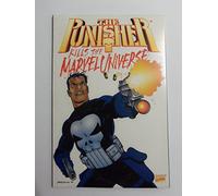 Punisher Kills the Marvel Universe (2000) #1 "2nd Print Variant"