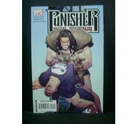 Punisher War Journal #14