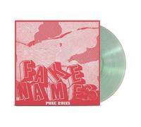 Punk Ruins Vinyle