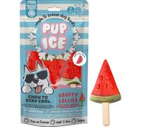 Pup Ice Fruity Lollies Pastèque 3x90g
